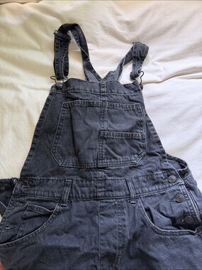 We the Free Ziggy Denim Overall Straight Leg